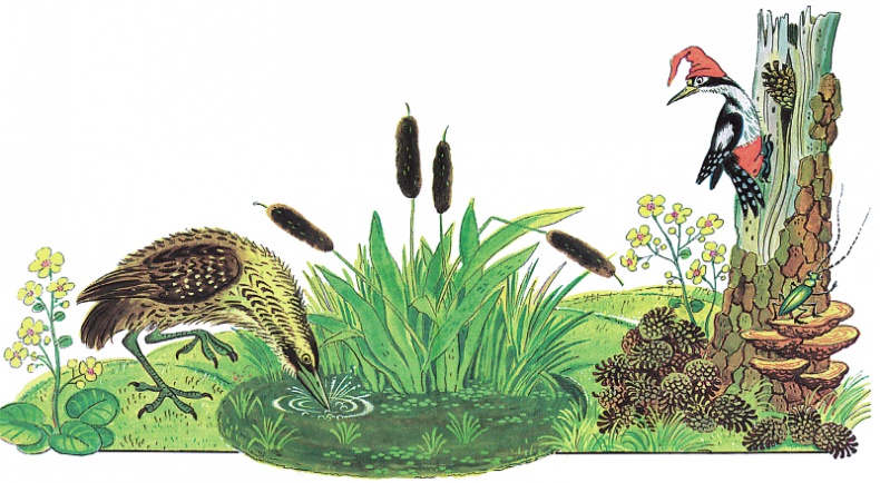 Иллюстрация к книге — Сказки о животных [i_008.jpg]