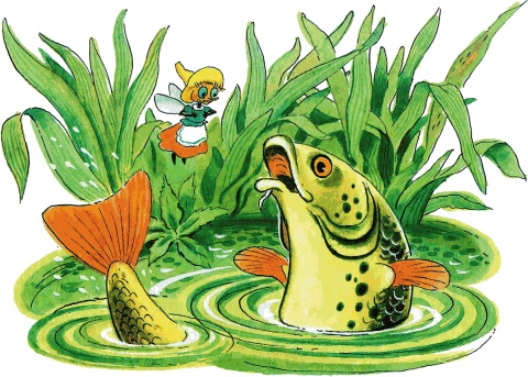 Иллюстрация к книге — Сказки о животных [i_020.jpg]