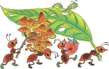 Иллюстрация к книге — Сказки о животных [i_026.jpg]