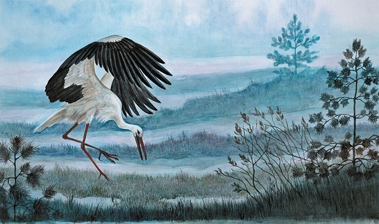 Иллюстрация к книге — Лесные разведчики [i_005.jpg]