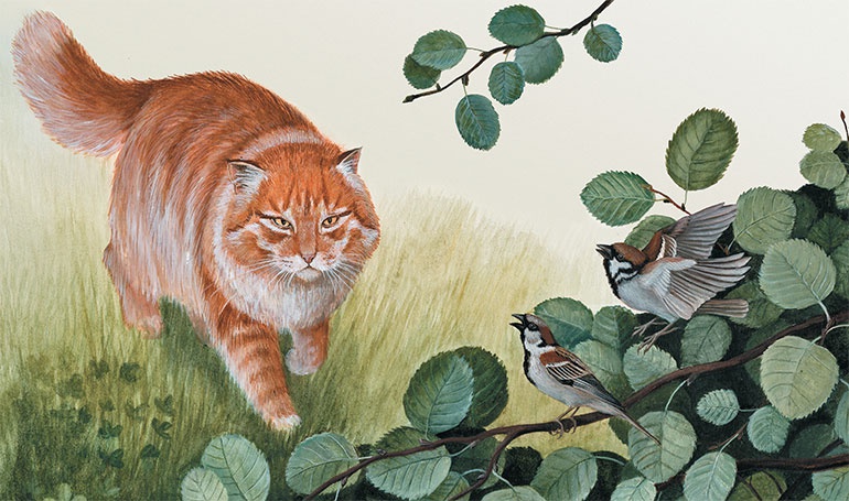 Иллюстрация к книге — Лесные разведчики [i_012.jpg]