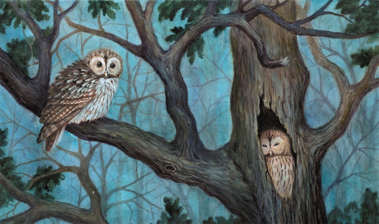 Иллюстрация к книге — Лесные разведчики [i_020.jpg]