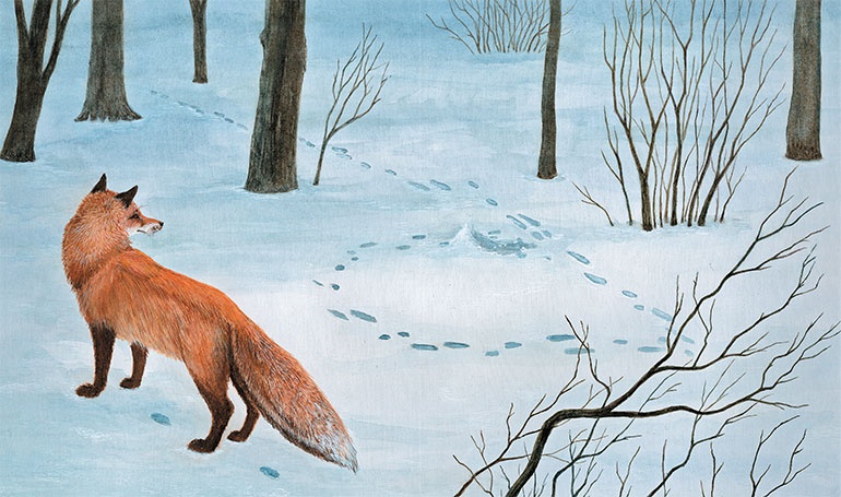 Иллюстрация к книге — Лесные разведчики [i_024.jpg]