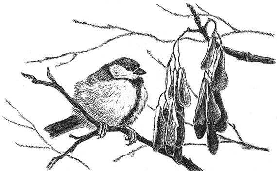 Иллюстрация к книге — Лесные разведчики [i_026.jpg]