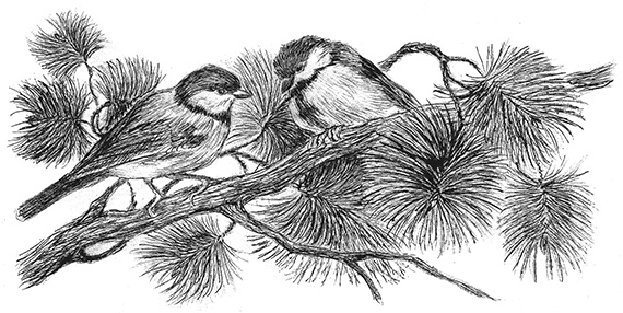 Иллюстрация к книге — Лесные разведчики [i_029.jpg]