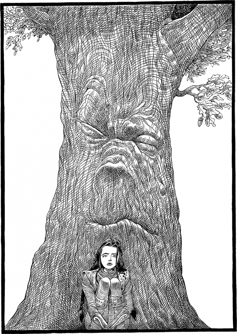 Иллюстрация к книге — Дева и веретено [i_029.jpg]