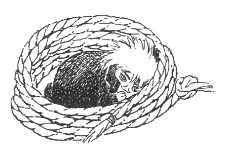 Иллюстрация к книге — Походная книга Муми-тролля [i_044.jpg]