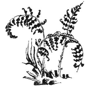 Иллюстрация к книге — Походная книга Муми-тролля [i_065.jpg]