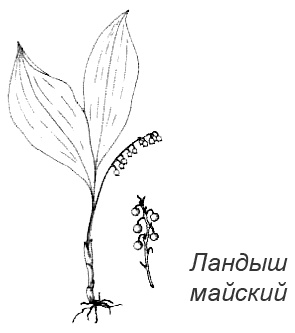 Иллюстрация к книге — Походная книга Муми-тролля [i_083.jpg]