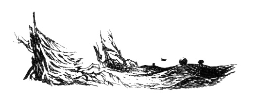 Иллюстрация к книге — Походная книга Муми-тролля [i_094.jpg]