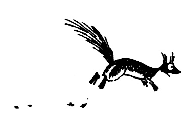 Иллюстрация к книге — Походная книга Муми-тролля [i_095.jpg]