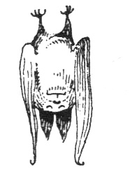 Иллюстрация к книге — Походная книга Муми-тролля [i_097.jpg]
