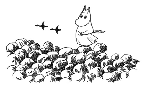 Иллюстрация к книге — Походная книга Муми-тролля [i_098.jpg]