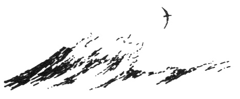 Иллюстрация к книге — Походная книга Муми-тролля [i_101.jpg]