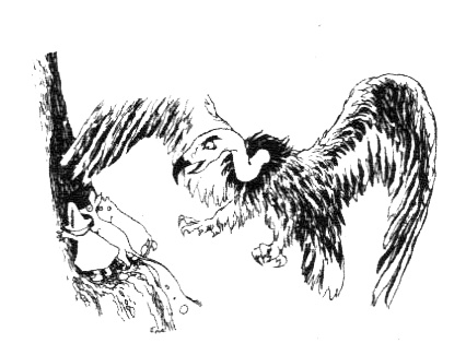 Иллюстрация к книге — Походная книга Муми-тролля [i_104.jpg]