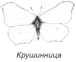 Иллюстрация к книге — Походная книга Муми-тролля [i_111.jpg]