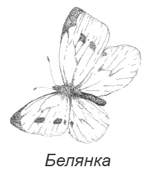 Иллюстрация к книге — Походная книга Муми-тролля [i_112.jpg]