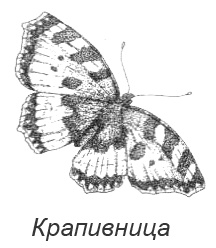 Иллюстрация к книге — Походная книга Муми-тролля [i_113.jpg]