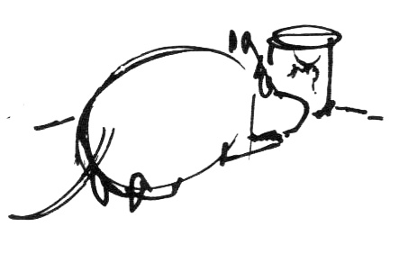 Иллюстрация к книге — Походная книга Муми-тролля [i_115.jpg]