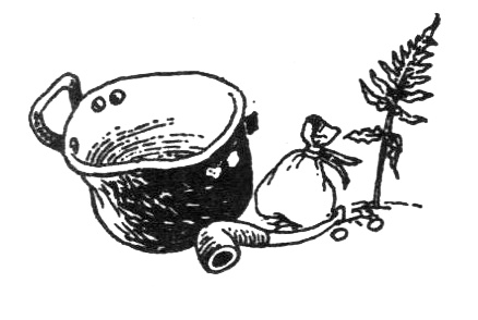 Иллюстрация к книге — Походная книга Муми-тролля [i_133.jpg]