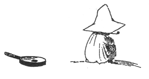 Иллюстрация к книге — Походная книга Муми-тролля [i_138.jpg]