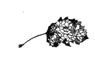 Иллюстрация к книге — Походная книга Муми-тролля [i_146.jpg]