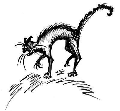 Иллюстрация к книге — Хроники Темного Универа. Начало [_23.jpg]