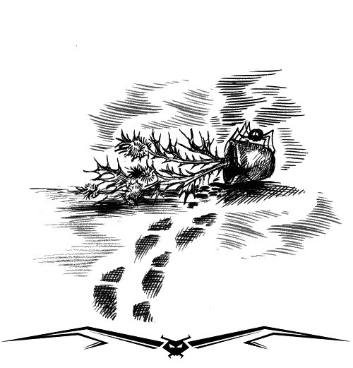 Иллюстрация к книге — Хроники Темного Универа. Начало [img_12.jpg]