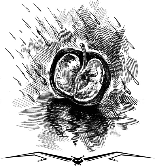 Иллюстрация к книге — Влада и война призраков [i_005.jpg]