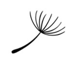 Иллюстрация к книге — Дай им шанс! [_1.jpg]