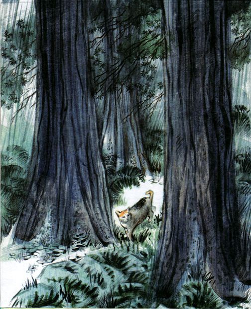 Иллюстрация к книге — Под крыльцом [img05.jpg]