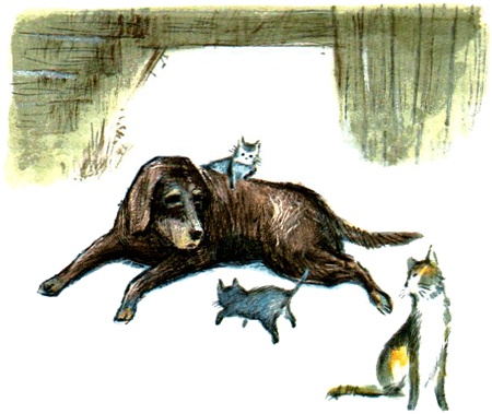 Иллюстрация к книге — Под крыльцом [img14.jpg]