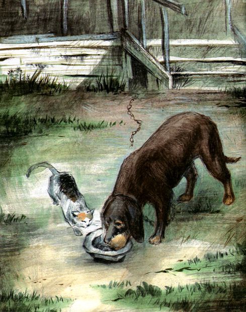 Иллюстрация к книге — Под крыльцом [img17.jpg]