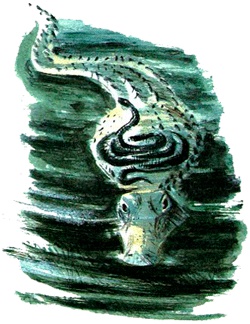 Иллюстрация к книге — Под крыльцом [img18.jpg]