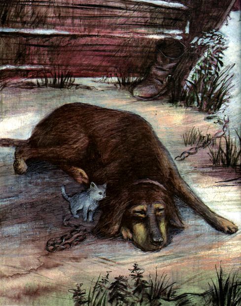 Иллюстрация к книге — Под крыльцом [img31.jpg]