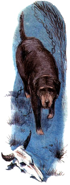 Иллюстрация к книге — Под крыльцом [img48.jpg]