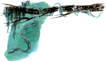 Иллюстрация к книге — Под крыльцом [img61.jpg]