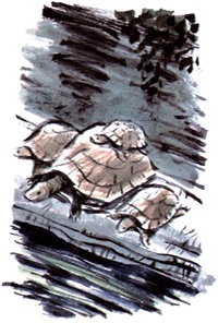 Иллюстрация к книге — Под крыльцом [img65.jpg]