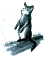 Иллюстрация к книге — Под крыльцом [img78.jpg]