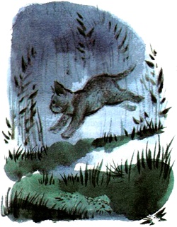 Иллюстрация к книге — Под крыльцом [img81.jpg]