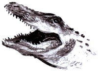 Иллюстрация к книге — Под крыльцом [img88.jpg]