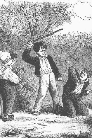 Иллюстрация к книге — Робинзонетта [i_002.jpg]