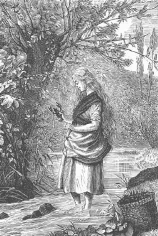 Иллюстрация к книге — Робинзонетта [i_013.jpg]