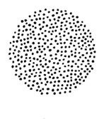 Иллюстрация к книге — Планиверсум. Виртуальный контакт с двухмерным миром [img_002.jpg]