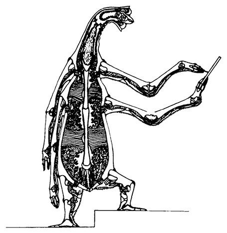 Иллюстрация к книге — Планиверсум. Виртуальный контакт с двухмерным миром [img_013.jpg]