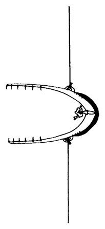 Иллюстрация к книге — Планиверсум. Виртуальный контакт с двухмерным миром [img_021.jpg]