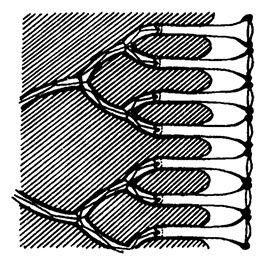 Иллюстрация к книге — Планиверсум. Виртуальный контакт с двухмерным миром [img_031.jpg]