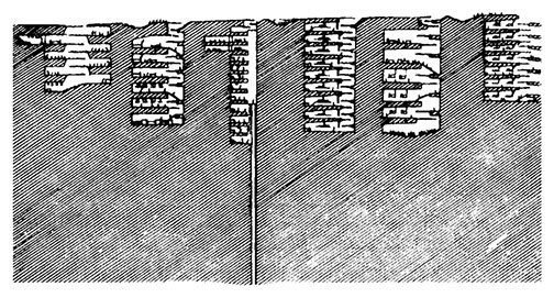 Иллюстрация к книге — Планиверсум. Виртуальный контакт с двухмерным миром [img_038.jpg]