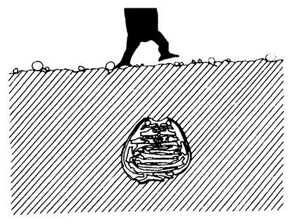 Иллюстрация к книге — Планиверсум. Виртуальный контакт с двухмерным миром [img_050.jpg]