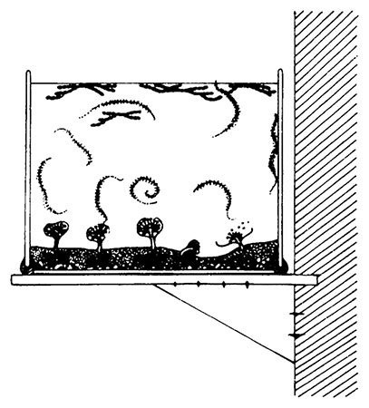 Иллюстрация к книге — Планиверсум. Виртуальный контакт с двухмерным миром [img_062.jpg]